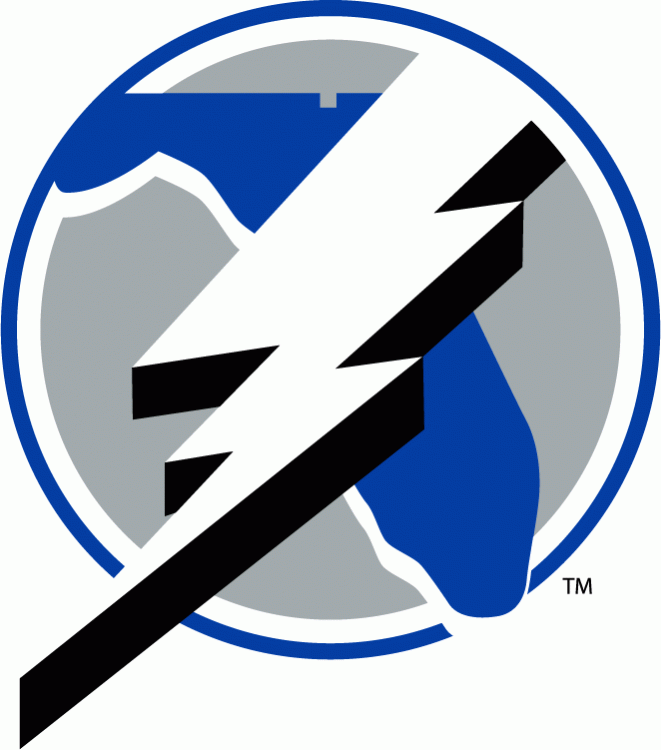 Tampa Bay Lightning 1992-2001 Alternate Logo iron on heat transfer...